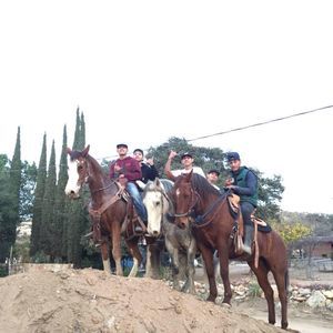 Meet your Posher, Alex